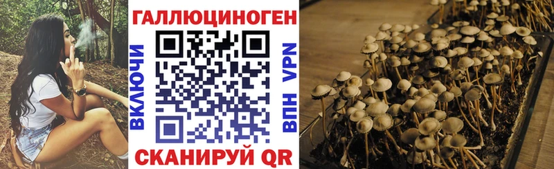 наркошоп  Староминская  Галлюциногенные грибы мухоморы 